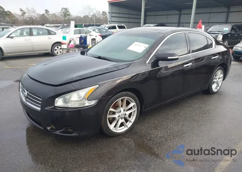 2010 Nissan Maxima 3.5 Sv из США, поврежденный, VIN 1N4AA5APXAC839864
